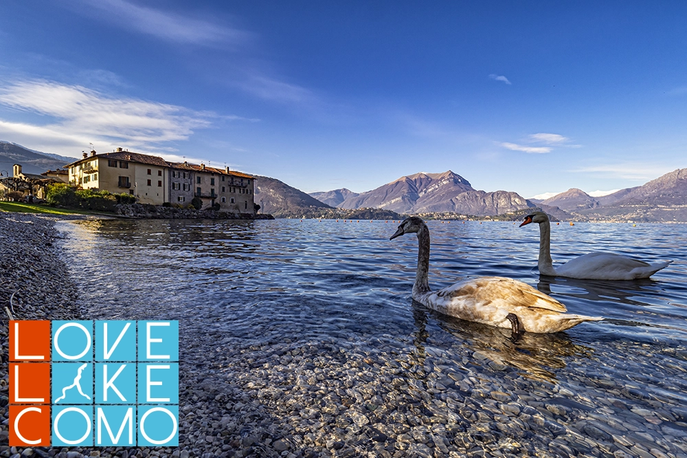 cosa vedere e cosa fare a lierna, lago di Como