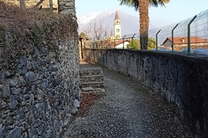 Itinerario tra i vigneti lago di Como