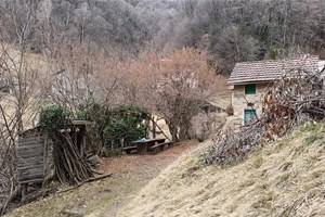 hiking e trekking a Mandello, lago di Como