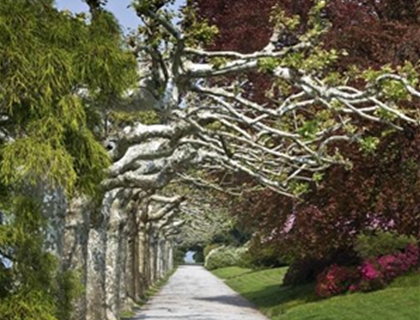 I Giardini di Villa Melzi