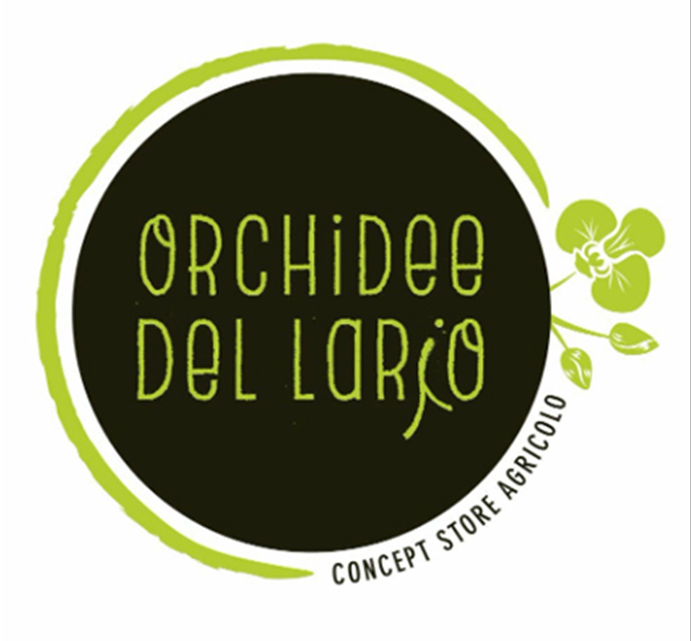 Orchidee del Lario