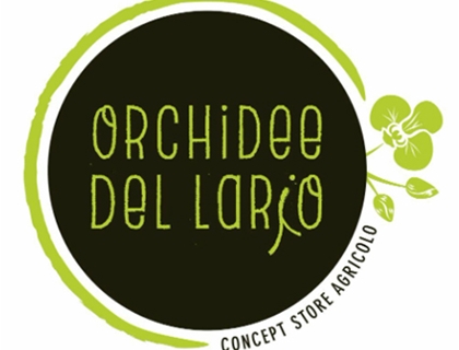 Orchidee del Lario