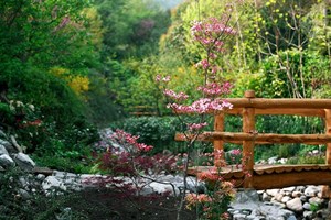 visit botanic garden cernobbio