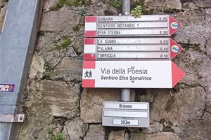 Visit Brienno